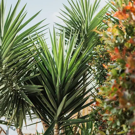 Kodu - Spacious 2 Storey Coastal With Balcony, Sea View, Garden & Bbq * Santo Isidoro