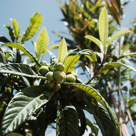 Kodu - Spacious 2 Storey Coastal With Balcony, Sea View, Garden & Bbq Appartement