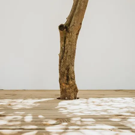 Appartement Kodu - Spacious 2 Storey Coastal With Balcony, Sea View, Garden & Bbq *