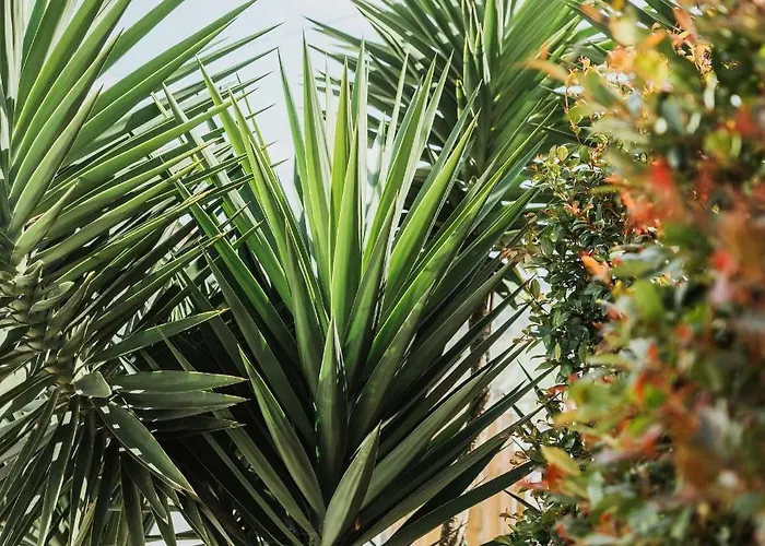 Kodu - Spacious 2 Storey Coastal With Balcony, Sea View, Garden & Bbq * Santo Isidoro