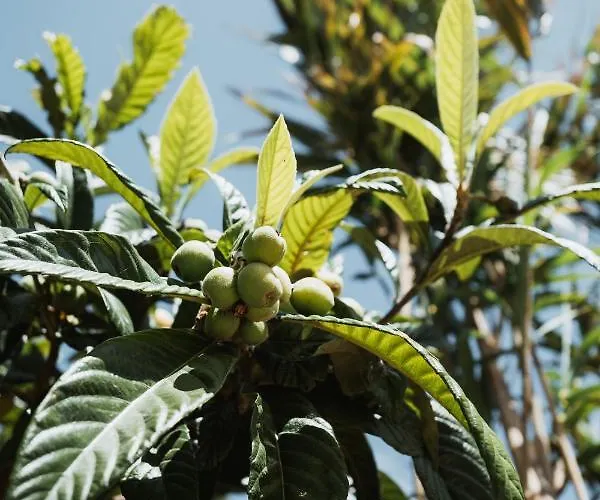 Kodu - Spacious 2 Storey Coastal With Balcony, Sea View, Garden & Bbq דירה