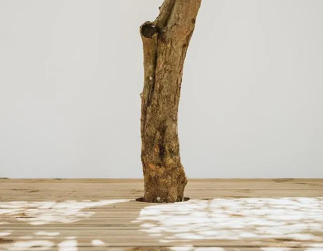 דירה Kodu - Spacious 2 Storey Coastal With Balcony, Sea View, Garden & Bbq *