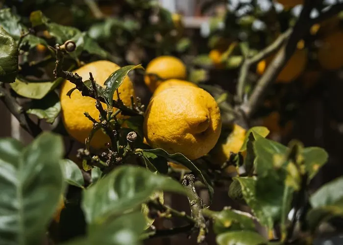 Kodu - Spacious 2 Storey Coastal With Balcony, Sea View, Garden & Bbq דירה Santo Isidoro