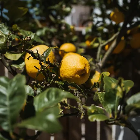 Kodu - Spacious 2 Storey Coastal With Balcony, Sea View, Garden & Bbq Apartment Santo Isidoro